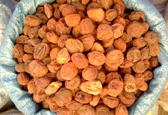 LADAKH DRIED APRICOTS