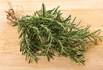 ROSEMARY LEAVES